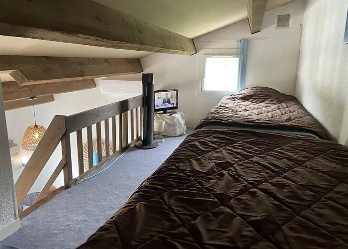 Charmante Climatisée T2 Mezzanine, 6 Pers, Terrasse Ensoleillée, Proche Et Commerces - Fr-1-106-37 Villa *