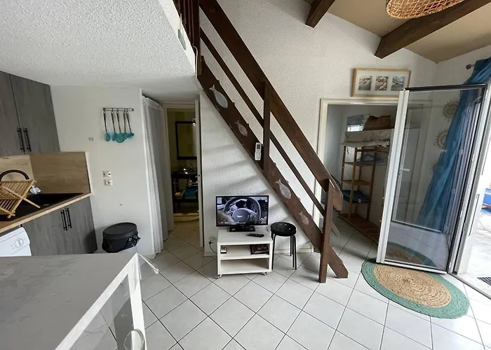 Charmante Climatisée T2 Mezzanine, 6 Pers, Terrasse Ensoleillée, Proche Et Commerces - Fr-1-106-37 *