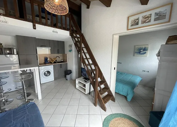 Villa Charmante Climatisée T2 Mezzanine, 6 Pers, Terrasse Ensoleillée, Proche Et Commerces - Fr-1-106-37 *